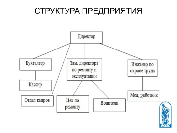 СТРУКТУРА ПРЕДПРИЯТИЯ