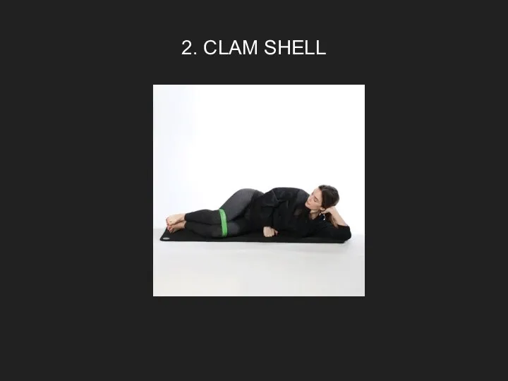 2. CLAM SHELL