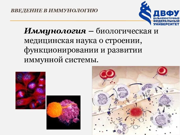 ВВЕДЕНИЕ В ИММУНОЛОГИЮ Иммунология – биологическая и медицинская наука о строении, функционировании и развитии иммунной системы.