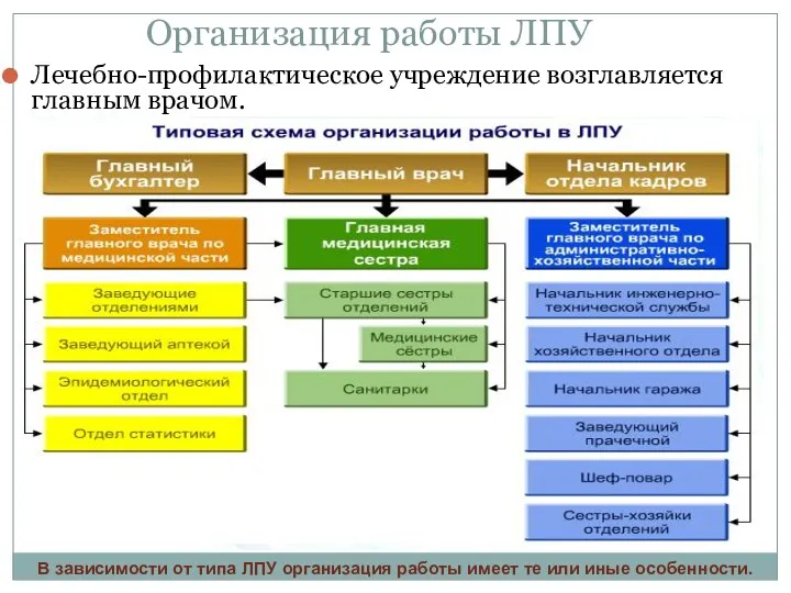 Организация работы ЛПУ Лечебно-профилактическое учреждение возглавляется главным врачом. В зависимости от типа ЛПУ