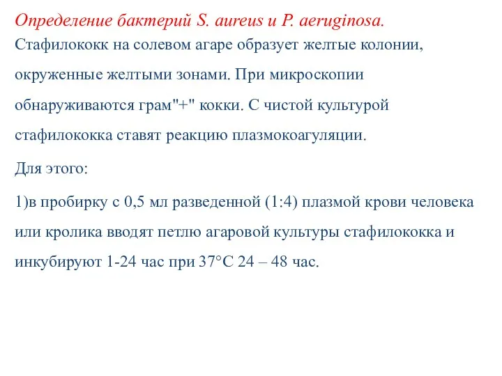 Определение бактерий S. aureus и P. aeruginosa. Стафилококк на солевом