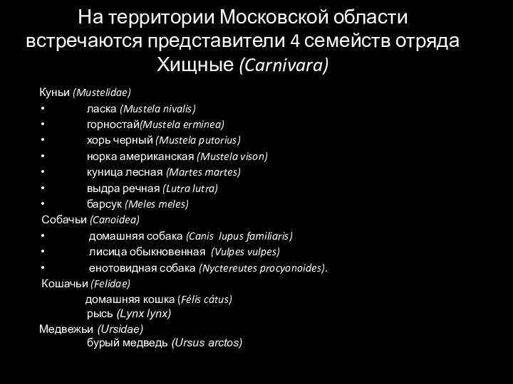 На территории Московской области встречаются представители 4 семейств отряда Хищные