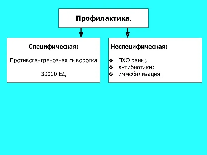 Профилактика. Специфическая: Противогангренозная сыворотка 30000 ЕД Неспецифическая: ПХО раны; антибиотики; иммобилизация.