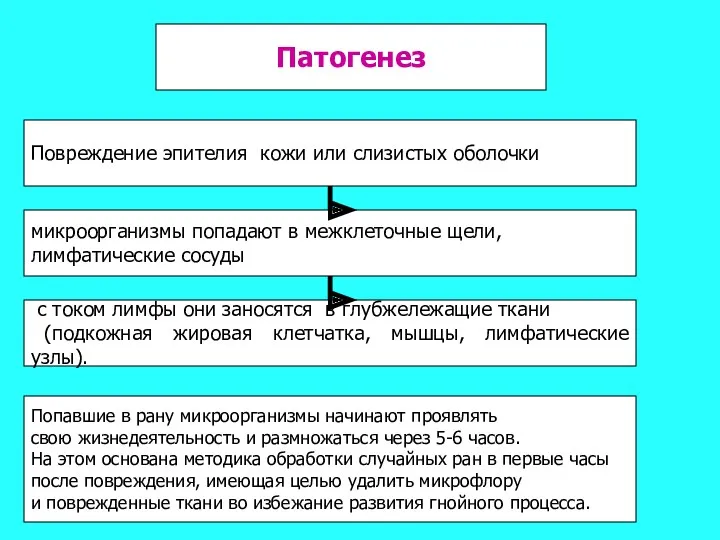 Патогенез Повреждение эпителия кожи или слизистых оболочки микроорганизмы попадают в