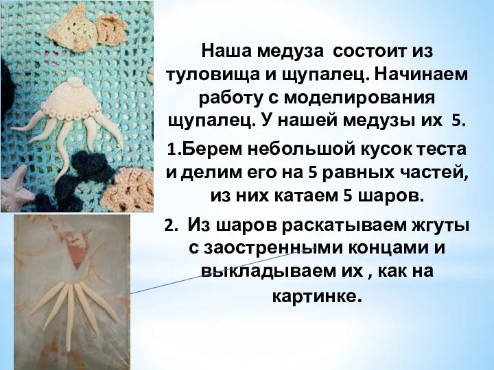 Наша медуза состоит из туловища и щупалец. Начинаем работу с