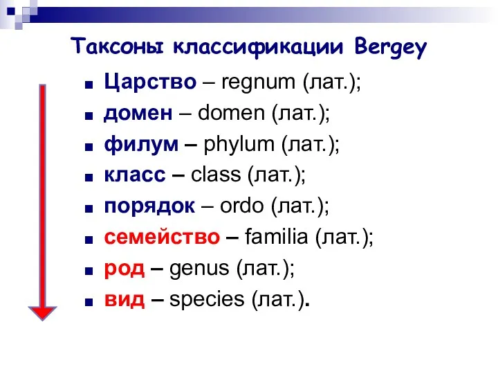 Таксоны классификации Bergey Царство – regnum (лат.); домен – domen (лат.); филум –