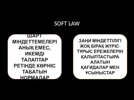 SOFT LAW ШАРТ МІНДЕТТЕМЕЛЕРІ АНЫҚ ЕМЕС, ИКЕМДІ ТАЛАПТАР РЕТІНДЕ КӨРНІС