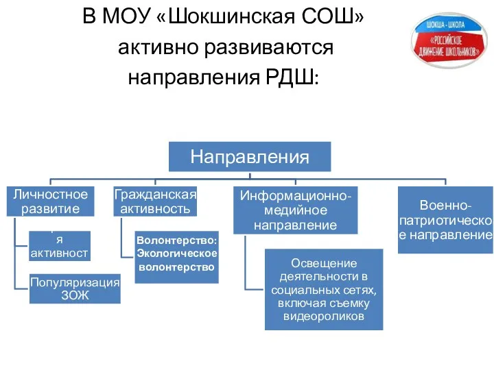 В МОУ «Шокшинская СОШ» активно развиваются направления РДШ: