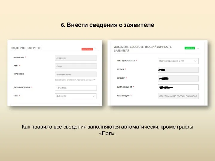 6. Внести сведения о заявителе Как правило все сведения заполняются автоматически, кроме графы «Пол».