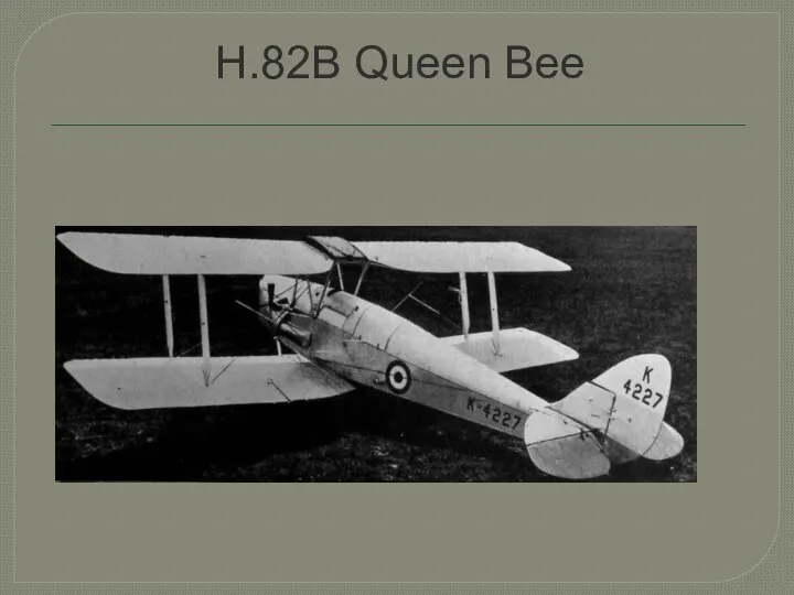 H.82B Queen Bee