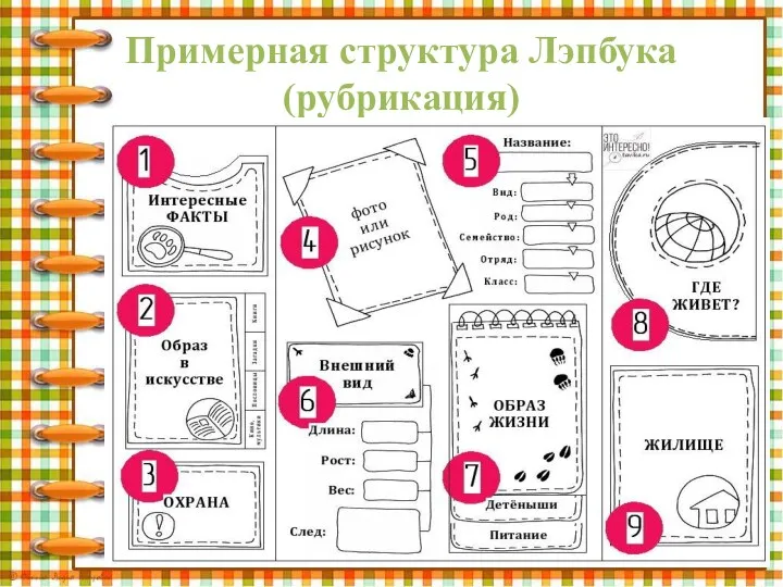 Примерная структура Лэпбука (рубрикация)