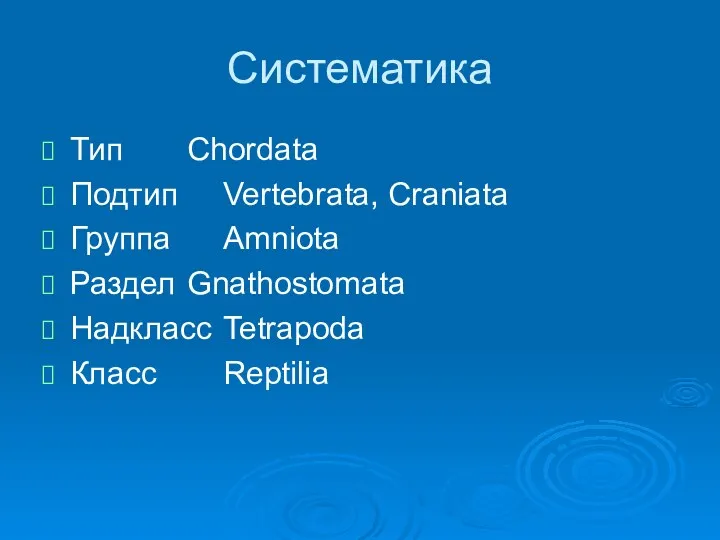 Систематика Тип Chordata Подтип Vertebrata, Craniata Группа Amniota Раздел Gnathostomata Надкласс Tetrapoda Класс Reptilia