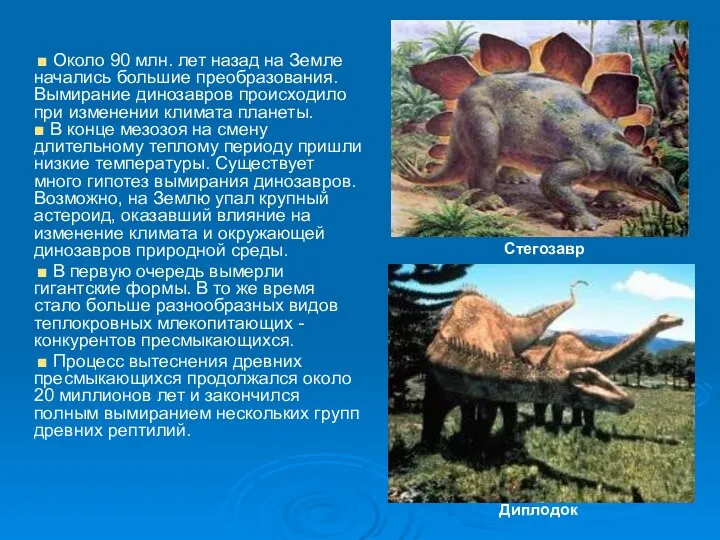 ■ Около 90 млн. лет назад на Земле начались большие