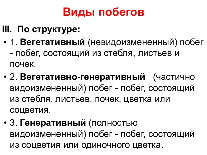 Виды побегов III. По структуре: 1. Вегетативный (невидоизмененный) побег -