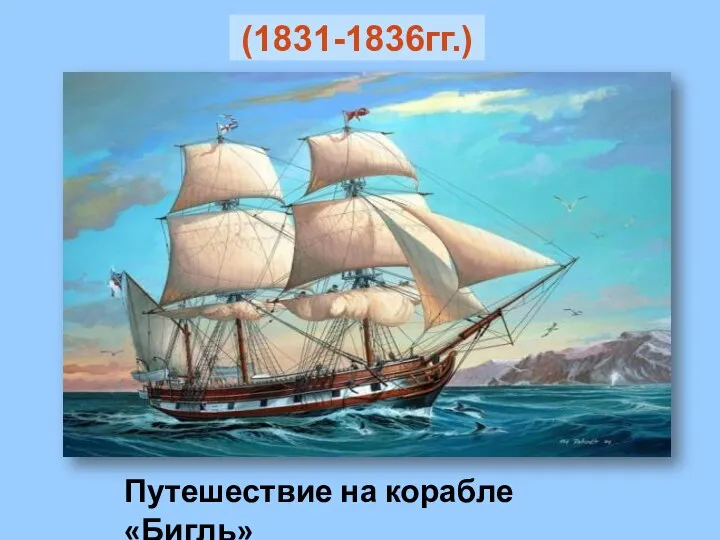 Путешествие на корабле «Бигль» (1831-1836гг.)