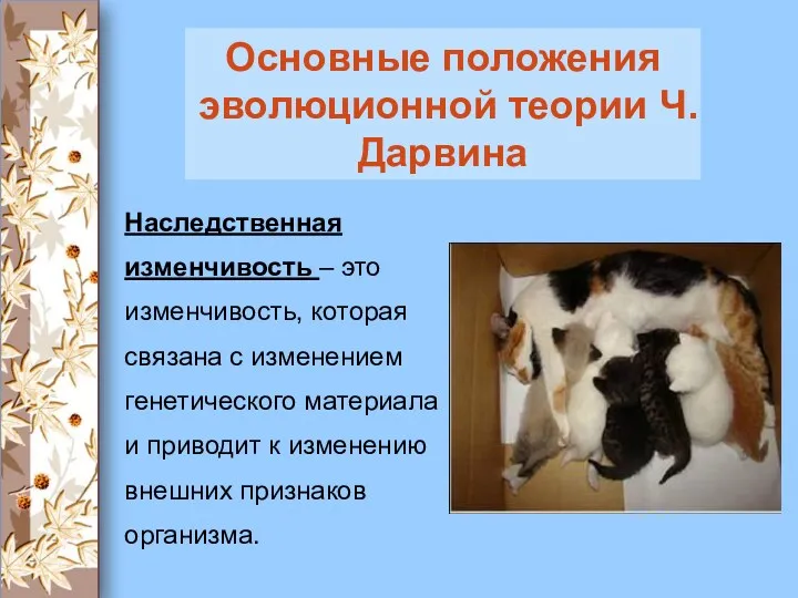 Наследственная изменчивость – это изменчивость, которая связана с изменением генетического