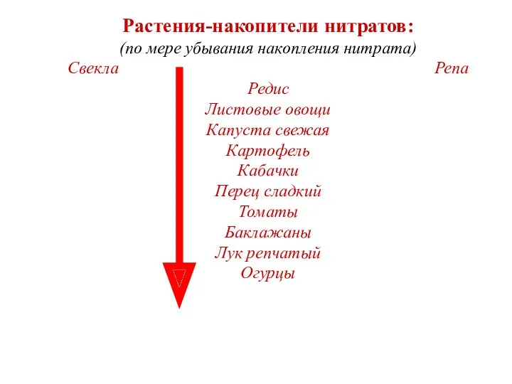 Растения-накопители нитратов: (по мере убывания накопления нитрата) Свекла Репа Редис