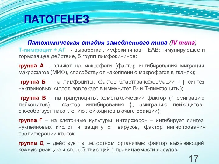 ПАТОГЕНЕЗ Патохимическая стадия замедленного типа (IV типа) Т-лимфоцит + АГ