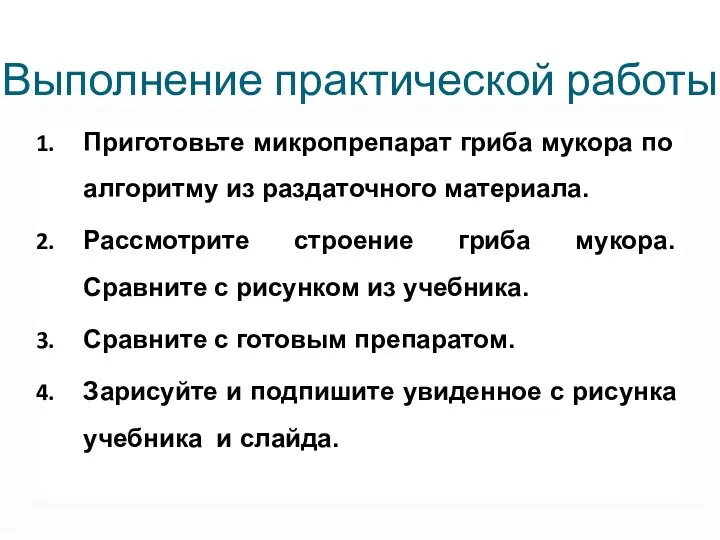 Выполнение практической работы Приготовьте микропрепарат гриба мукора по алгоритму из