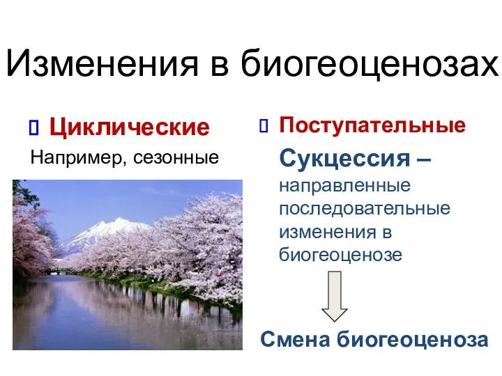 Изменения в биогеоценозах Циклические Например, сезонные Поступательные Сукцессия – направленные последовательные изменения в биогеоценозе Смена биогеоценоза