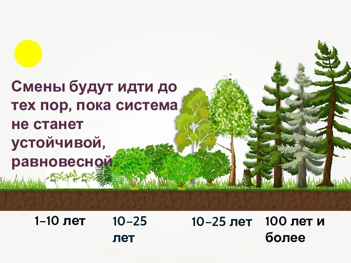 1–10 лет 10–25 лет 10–25 лет 100 лет и более