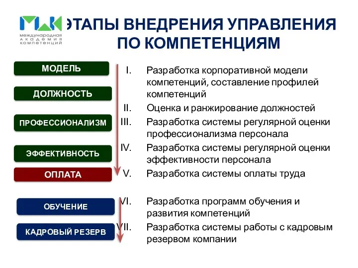 ЭТАПЫ ВНЕДРЕНИЯ УПРАВЛЕНИЯ ПО КОМПЕТЕНЦИЯМ Разработка корпоративной модели компетенций, составление