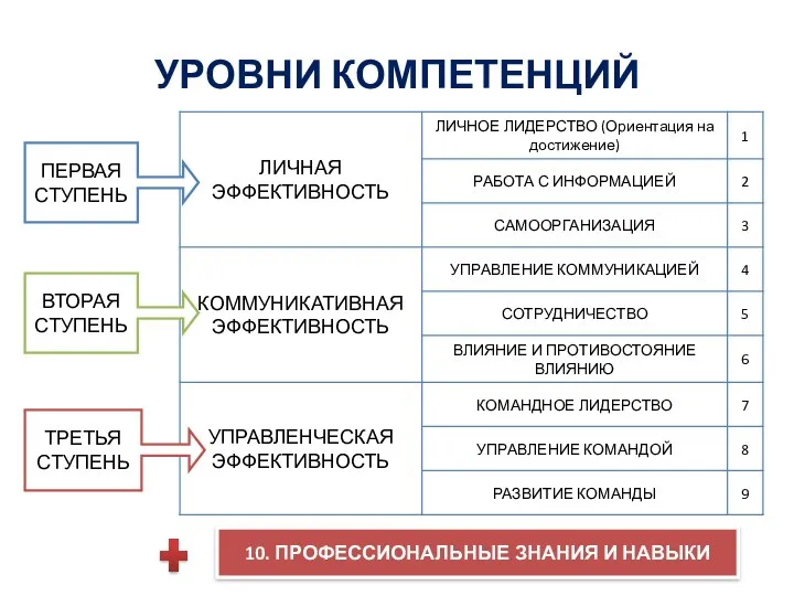 УРОВНИ КОМПЕТЕНЦИЙ ПЕРВАЯ СТУПЕНЬ ВТОРАЯ СТУПЕНЬ ТРЕТЬЯ СТУПЕНЬ 10. ПРОФЕССИОНАЛЬНЫЕ ЗНАНИЯ И НАВЫКИ