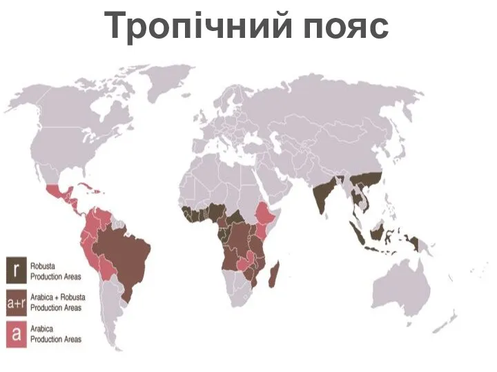 Тропічний пояс