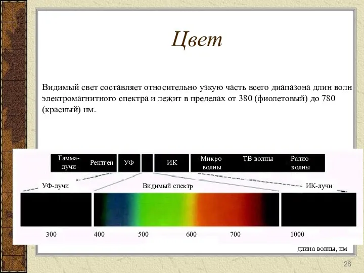 Цвет Видимый свет составляет относительно узкую часть всего диапазона длин волн электромагнитного спектра