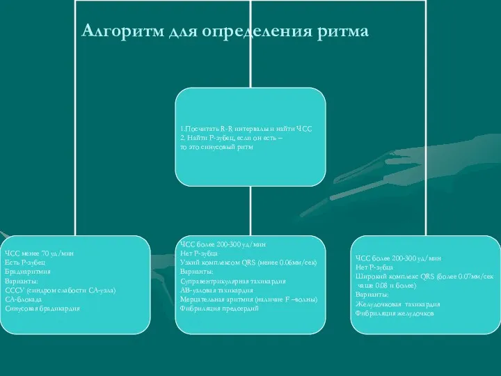 Алгоритм для определения ритма