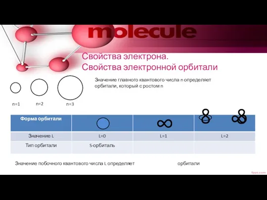 Свойства электрона. Свойства электронной орбитали n=1 n=2 n=3 Значение главного