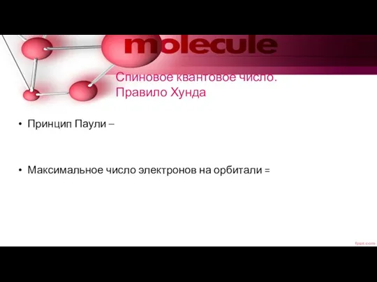 Спиновое квантовое число. Правило Хунда Принцип Паули – Максимальное число электронов на орбитали =