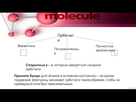 Орбитали Вакантные Полузаселенные Полностью заселенные Спаренные е – е, которые