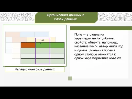 Организация данных в базах данных Поле — это одна из характеристик (атрибутов, свойств)