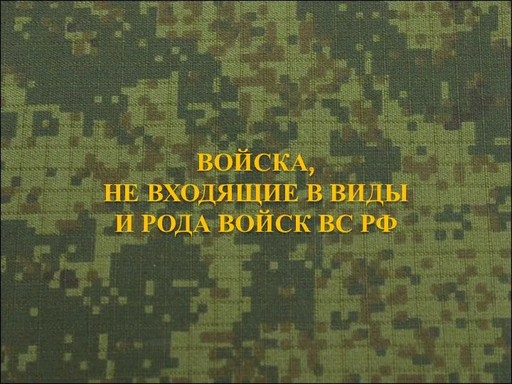 ВОЙСКА, НЕ ВХОДЯЩИЕ В ВИДЫ И РОДА ВОЙСК ВС РФ