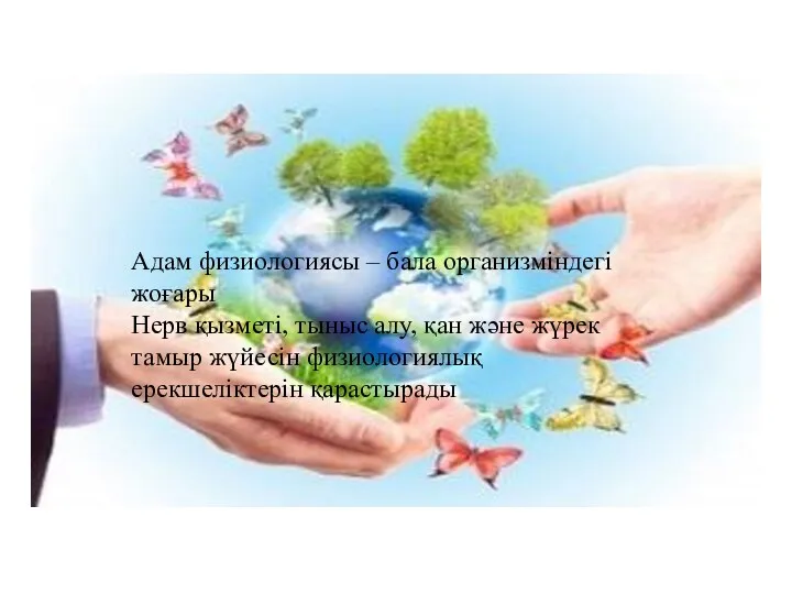 Адам физиологиясы – бала организміндегі жоғары Нерв қызметі, тыныс алу,