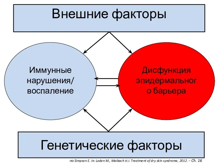 Внешние факторы Генетические факторы Иммунные нарушения/ воспаление Дисфункция эпидермального барьера