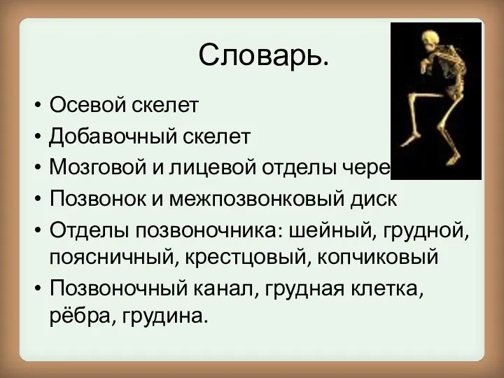 Словарь. Осевой скелет Добавочный скелет Мозговой и лицевой отделы черепа Позвонок и межпозвонковый