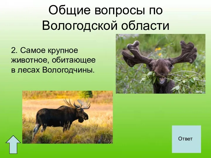 Общие вопросы по Вологодской области 2. Самое крупное животное, обитающее в лесах Вологодчины. Лось Ответ