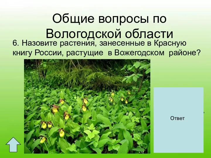 Общие вопросы по Вологодской области 6. Назовите растения, занесенные в