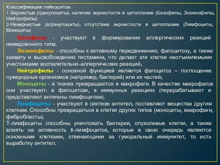 Классификация лейкоцитов: 1-Зернистые (гранулоциты): наличие зернистости в цитоплазме (Базофилы, Эозинофилы,