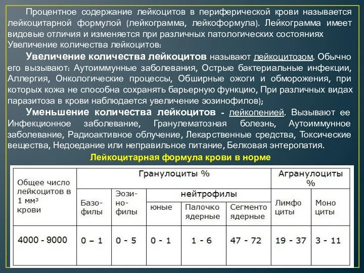 Процентное содержание лейкоцитов в периферической крови называется лейкоцитарной формулой (лейкограмма,