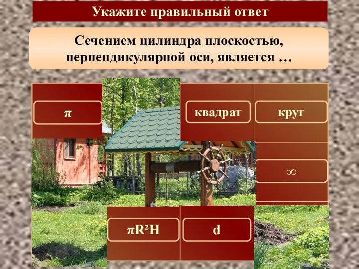 Сечением цилиндра плоскостью, перпендикулярной оси, является … Укажите правильный ответ