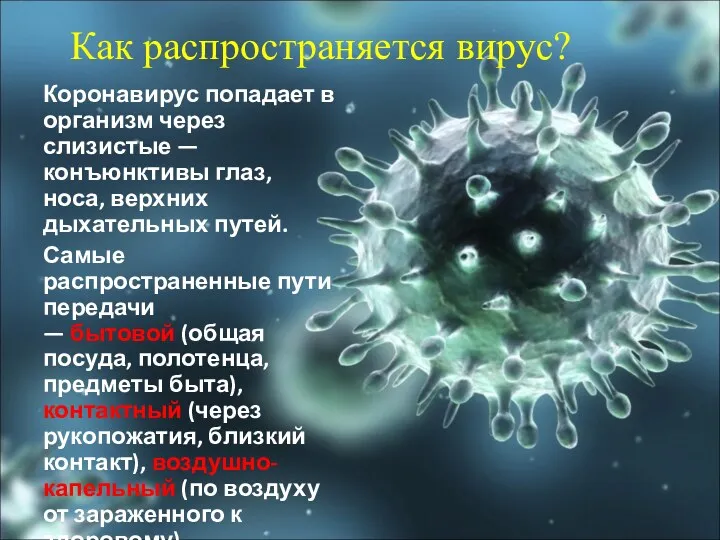Как распространяется вирус? Коронавирус попадает в организм через слизистые —