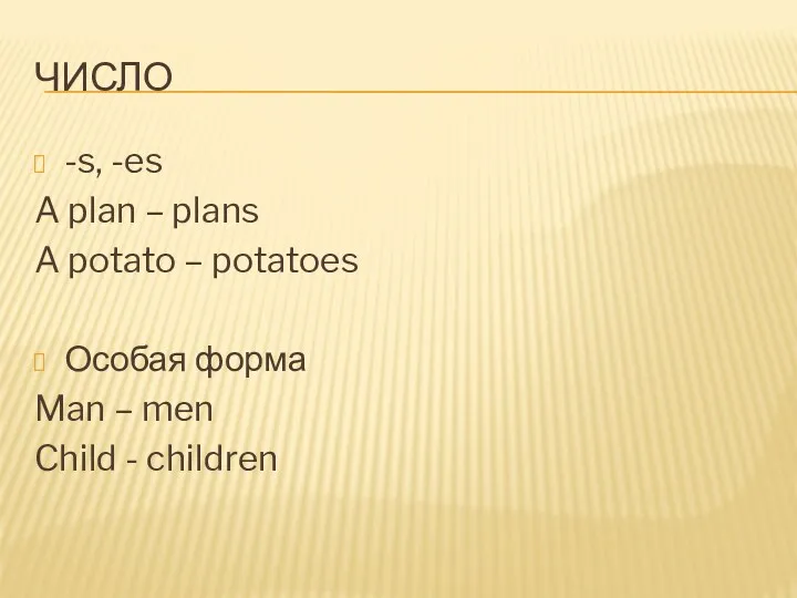 ЧИСЛО -s, -es A plan – plans A potato –