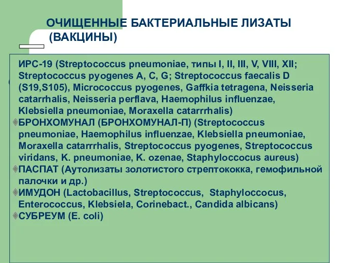 ОЧИЩЕННЫЕ БАКТЕРИАЛЬНЫЕ ЛИЗАТЫ (ВАКЦИНЫ) ИРС-19 (Streptococcus pneumoniae, типы I, II, III, V, VIII,