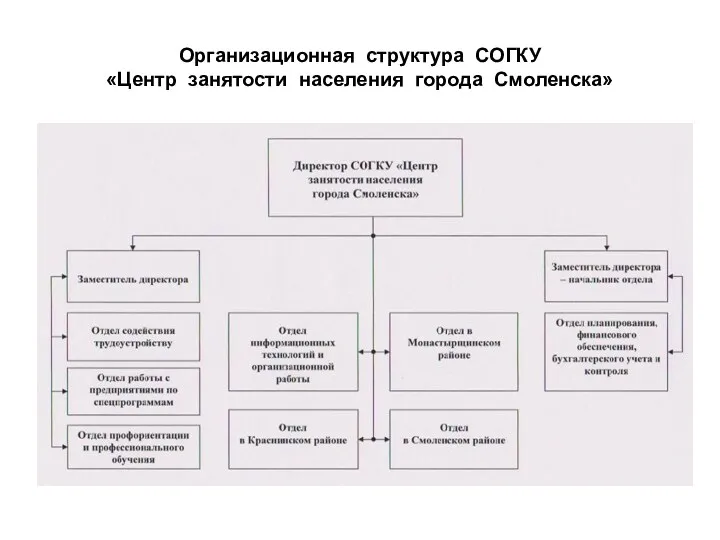 Организационная структура СОГКУ «Центр занятости населения города Смоленска»