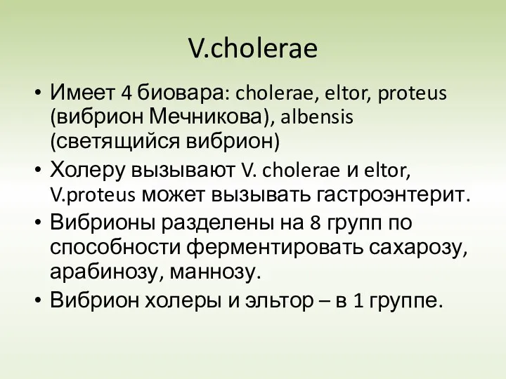 V.cholerae Имеет 4 биовара: cholerae, eltor, proteus (вибрион Мечникова), albensis