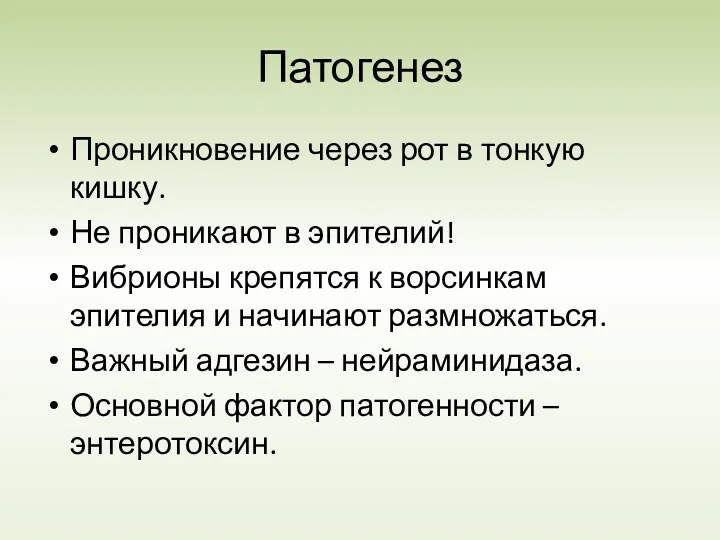 Патогенез Проникновение через рот в тонкую кишку. Не проникают в