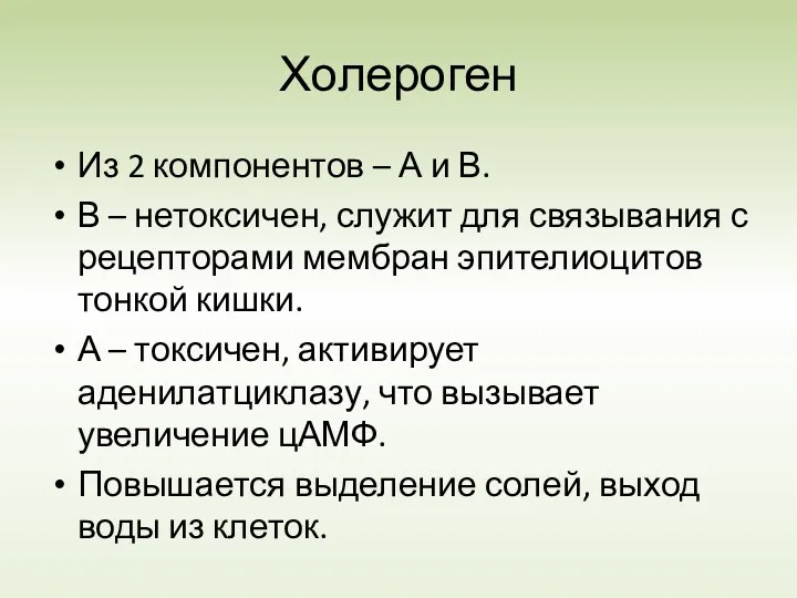 Холероген Из 2 компонентов – А и В. В –